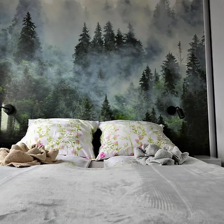 Rys Apartment